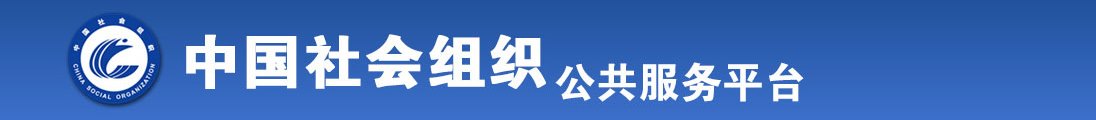 殴美美女操B网全国社会组织信息查询